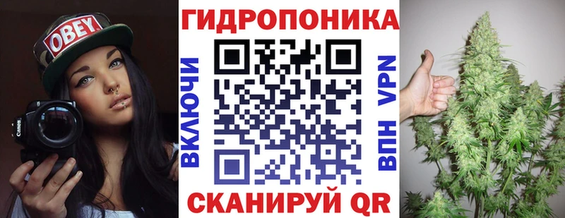 Где продают наркотики Мончегорск ГАШ  Псилоцибиновые грибы  Меф мяу мяу  МАРИХУАНА  А ПВП 