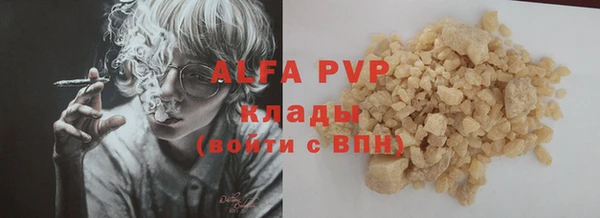 PSILOCYBIN Волосово