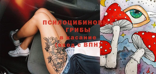 PSILOCYBIN Волосово