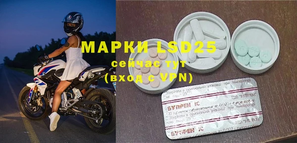 PSILOCYBIN Волосово
